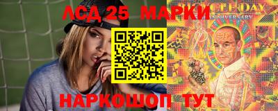 гидропоника Будённовск