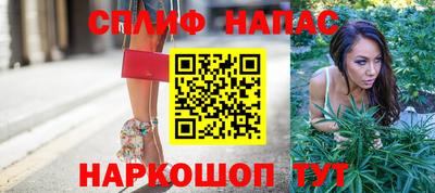гидропоника Будённовск