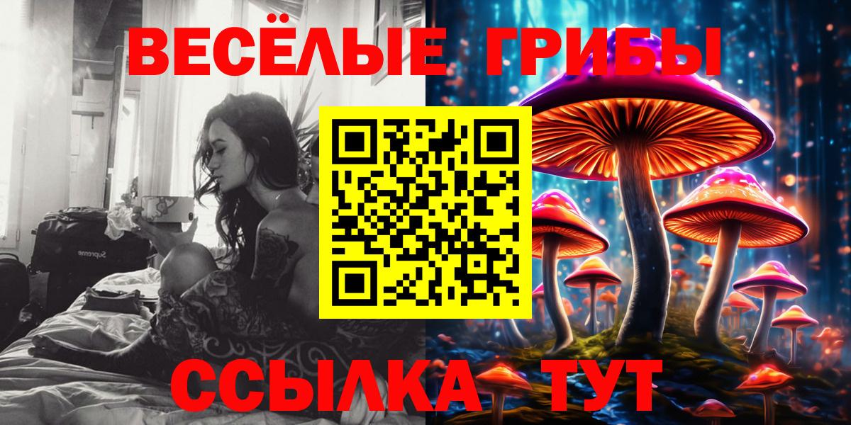 Галлюциногенные грибы MAGIC MUSHROOMS Шадринск