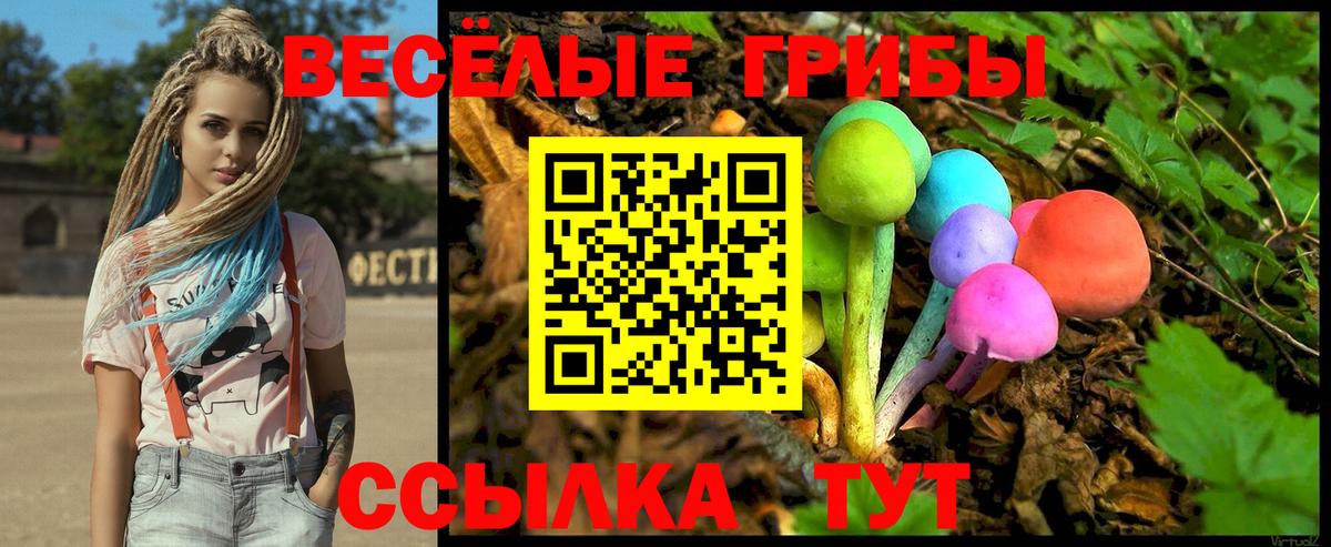 Псилоцибиновые грибы GOLDEN TEACHER  Галлюциногенные грибы Psilocybine cubensis  Вход с VPN  Шадринск 